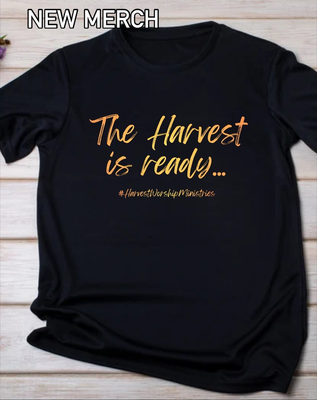 The Harvest is Ready…